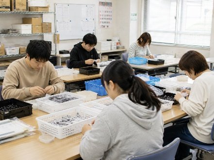 午後の作業のようす